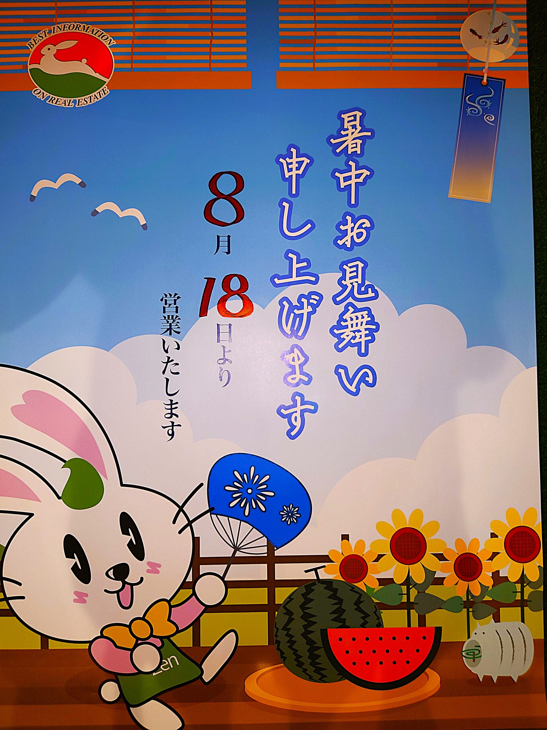 コージーの夏季休暇
