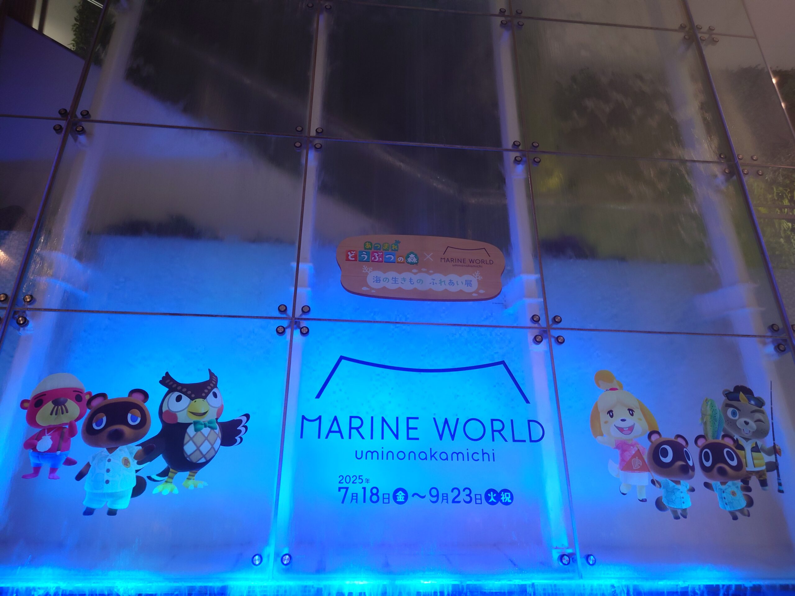 夜の水族館🐬